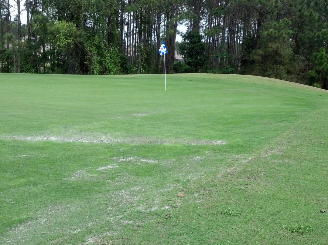 Golf Club at South Hampton-圣奥古斯丁必去景点