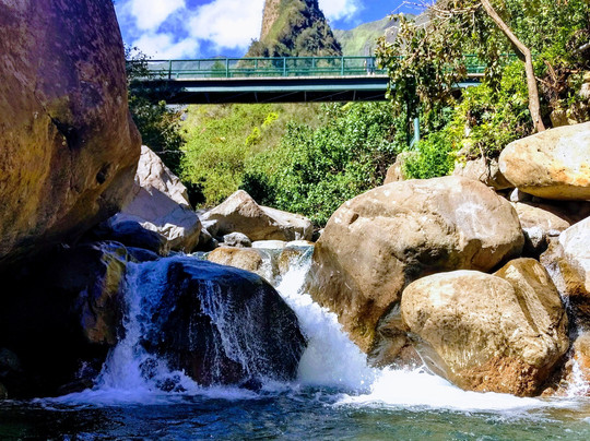Halfway to Hana Tours