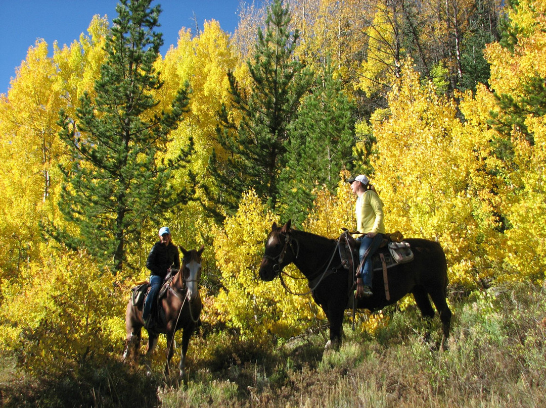 Steamboat Lake Outfitters - Day Trips景点图片