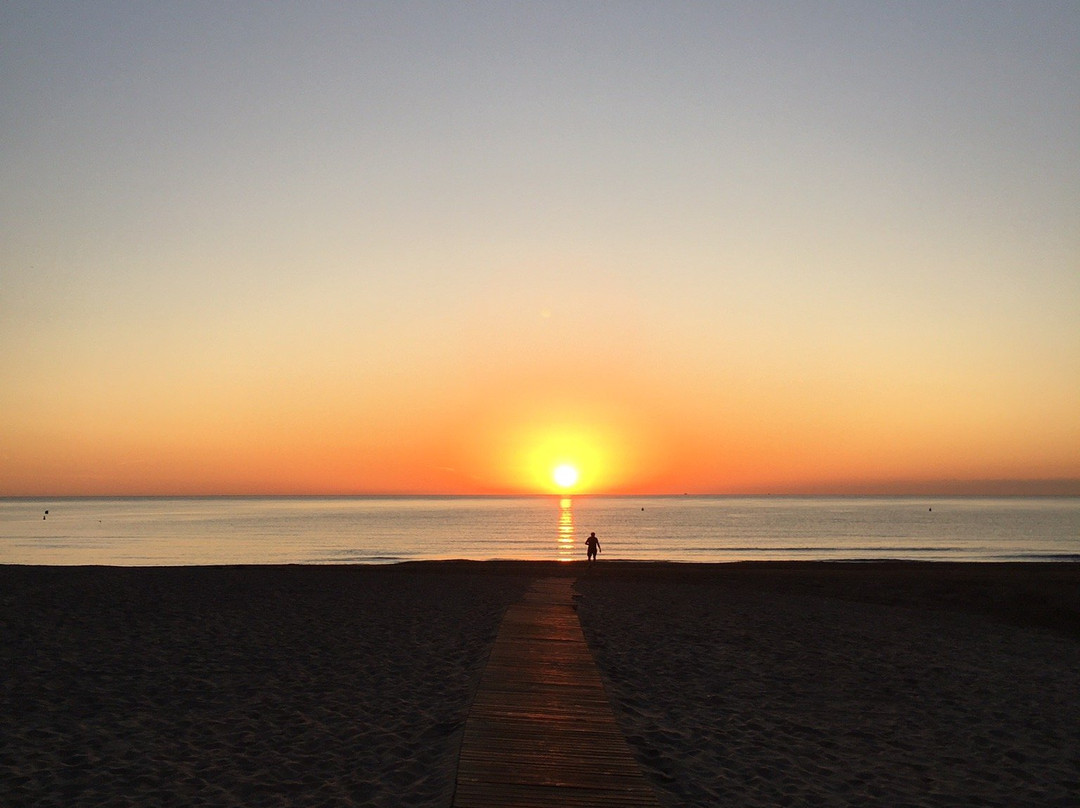 Playa De Perros Campello