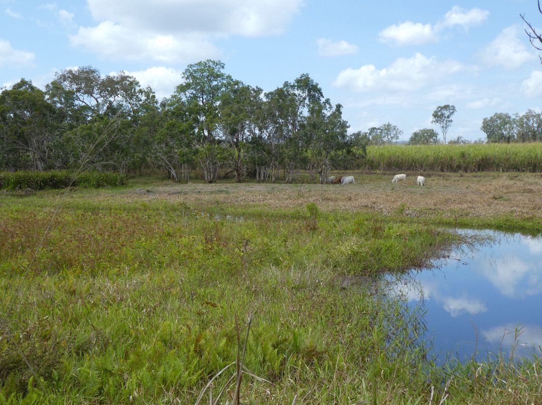 Abattoir Swamp Environmental Park