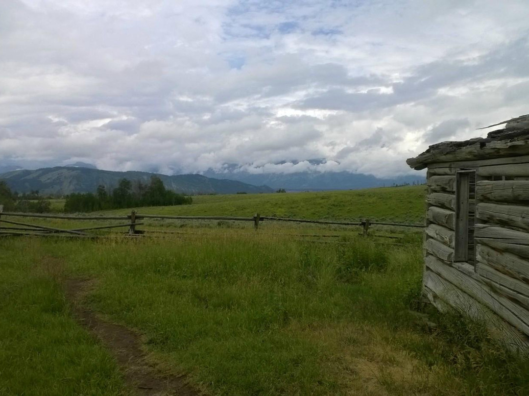 Wild West Jeep Tours-杰克逊必去景点