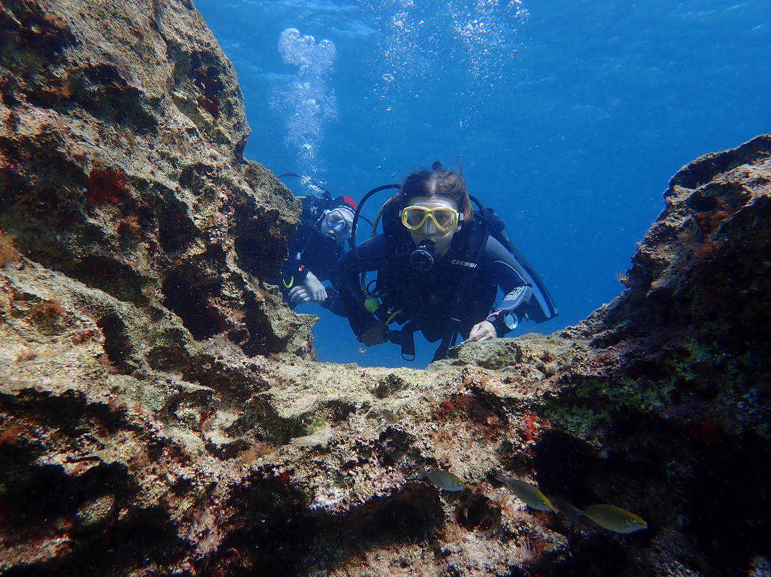 Reef Junkies景点图片