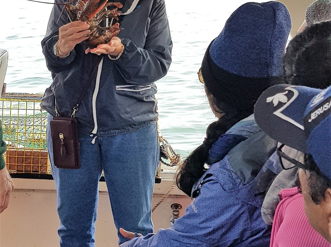 Bar Harbor Boat Tours-巴港必去景点