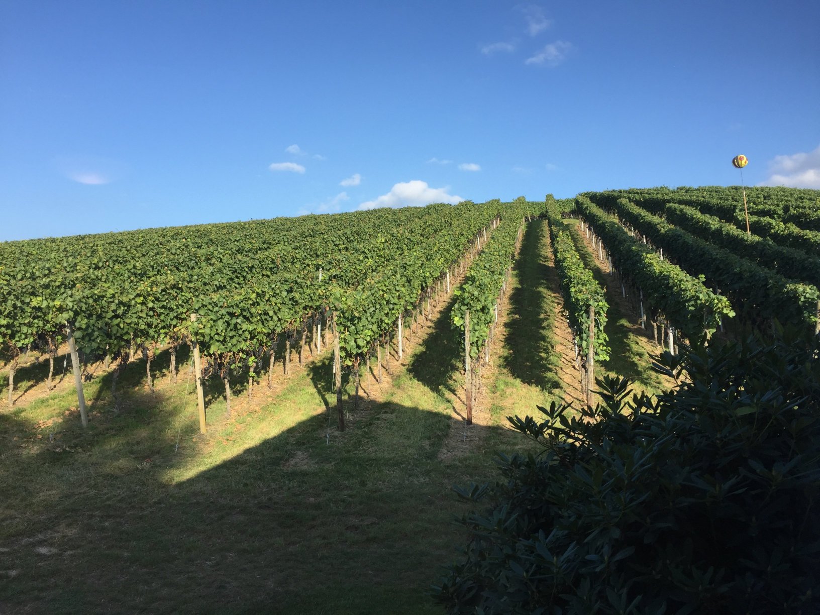 Gastehaus Worner-酒店景观