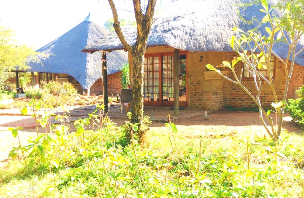 African Casa-官方