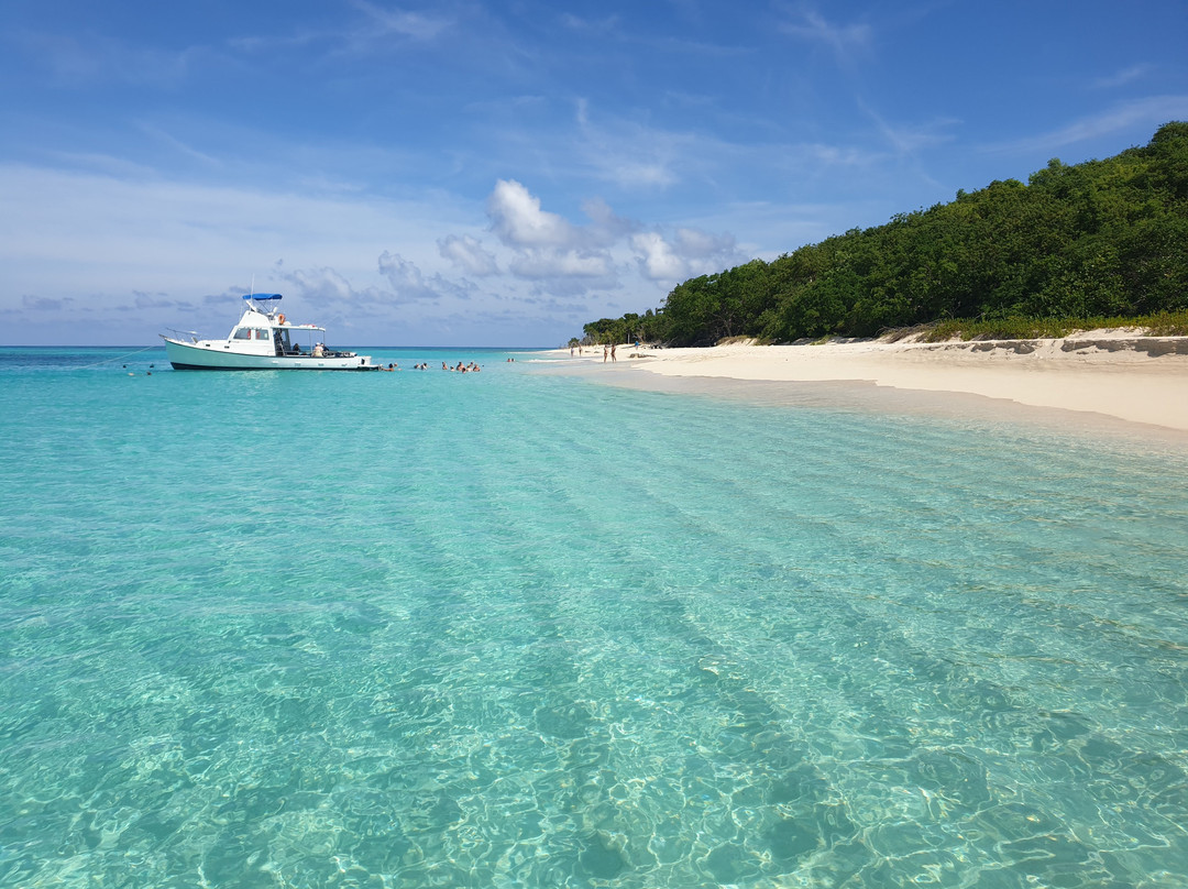 Buck Island Cove景点图片