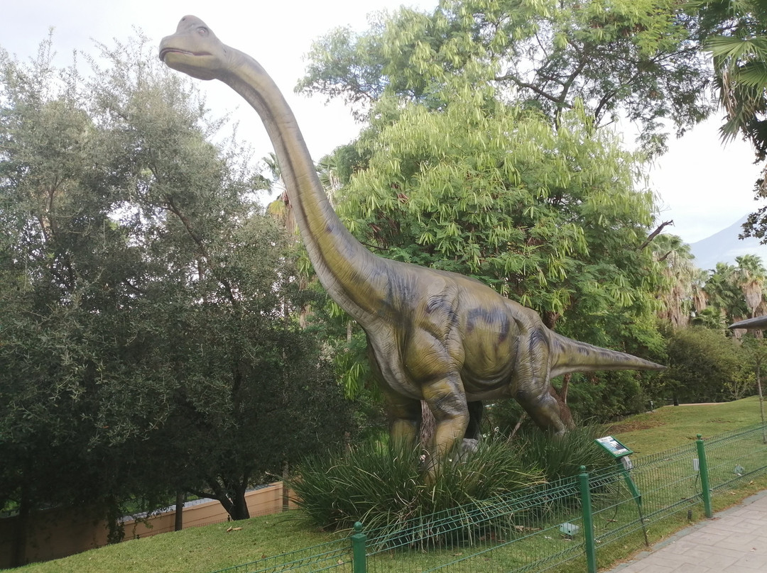 Expedición Amazonia-蒙特雷必去景点