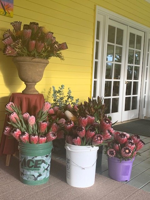 卡拉奇洛哈纳酒店主图