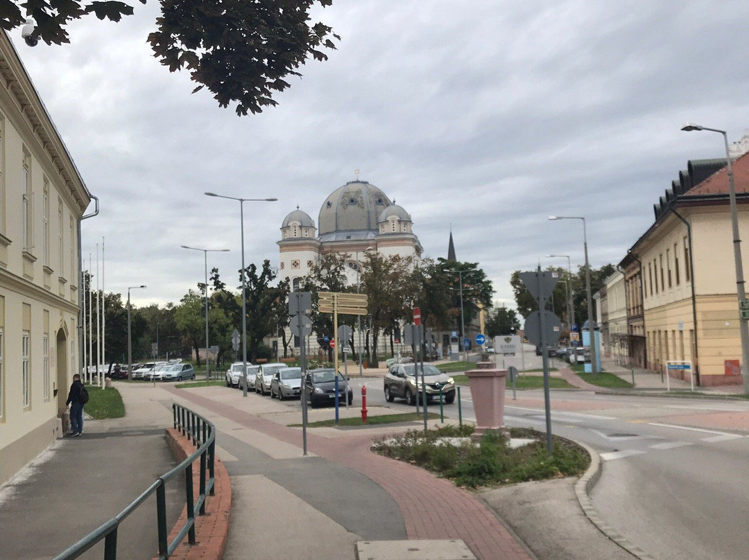 Grobe Synagoge景点图片