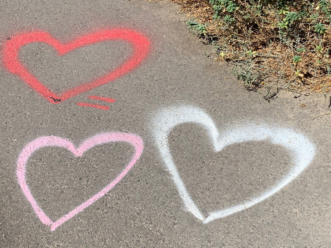 Independence Park-特拉维夫必去景点