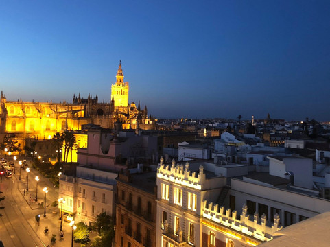 Paella Legacy | Top Rated Paella Cooking Class in Seville-塞维利亚必去景点