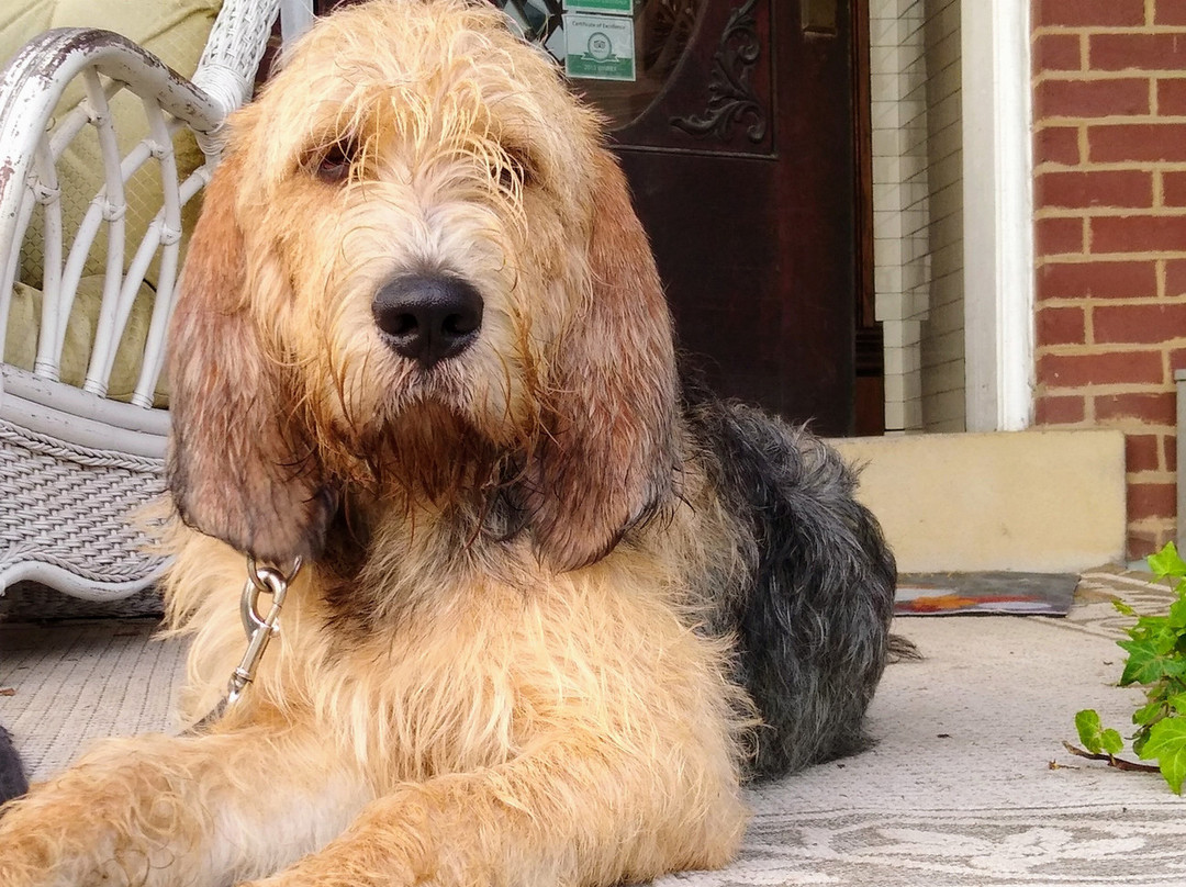 Colonial House on Main Bed & Breakfast主图