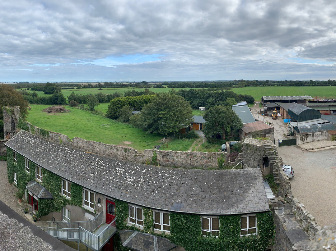 Killiane Castle Country House & Farm主图