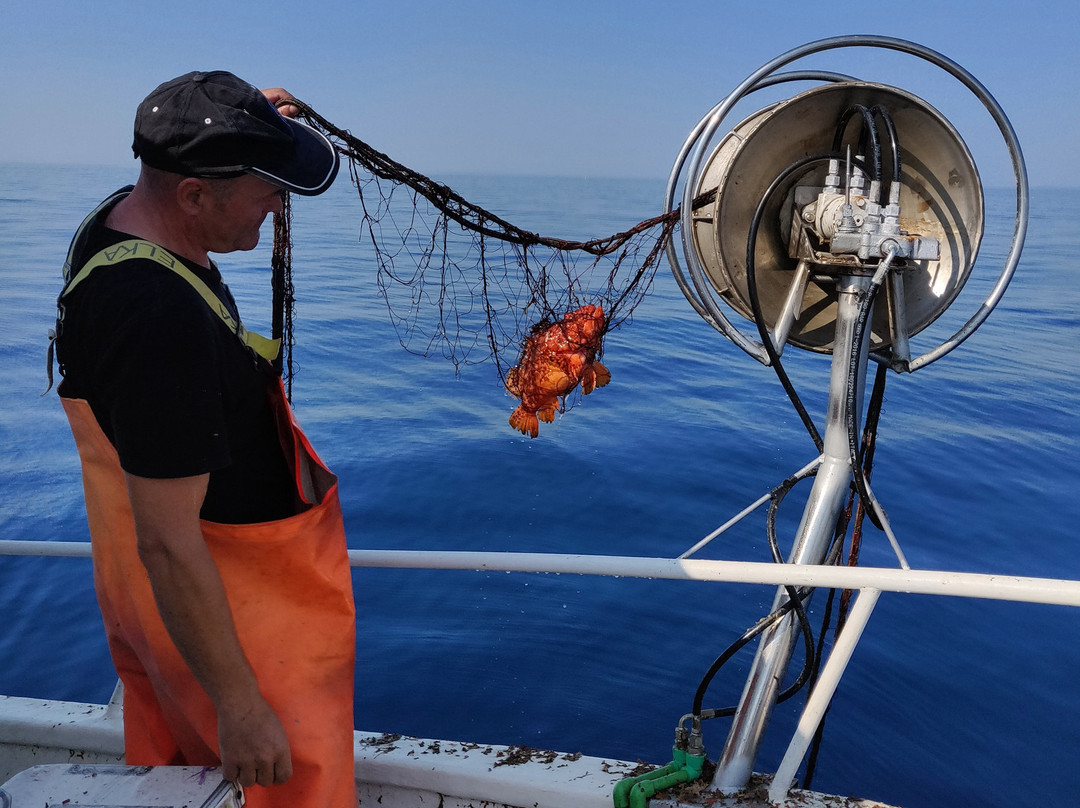 Survival Beach-Aguadilla必去景点