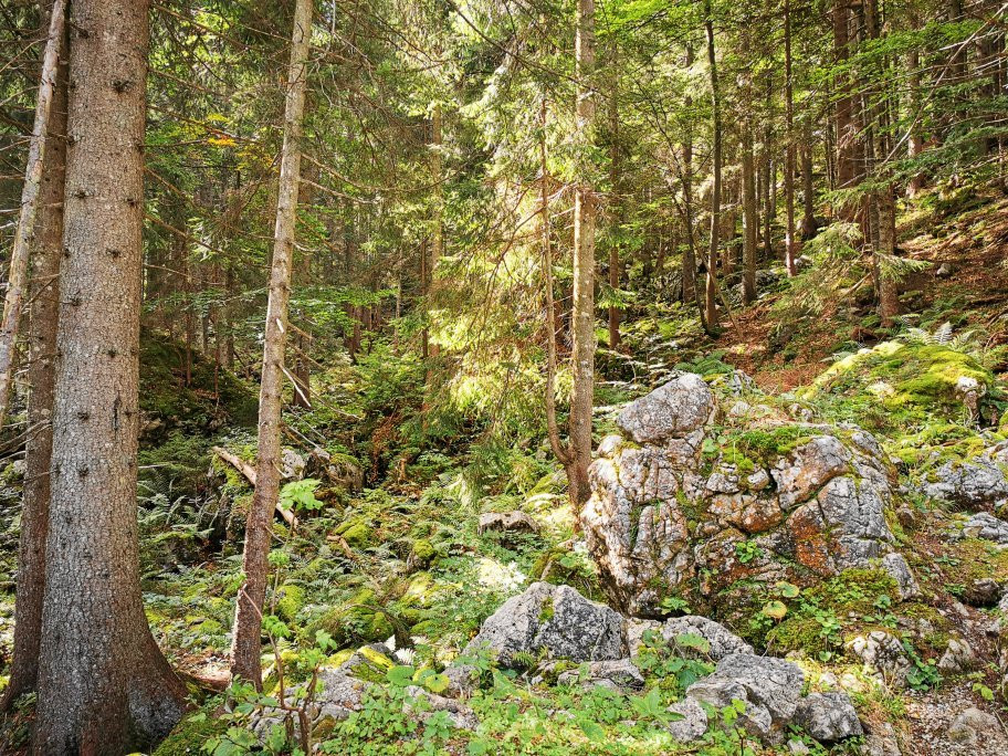 Unternberg Sesselbahn-Ruhpolding必去景点