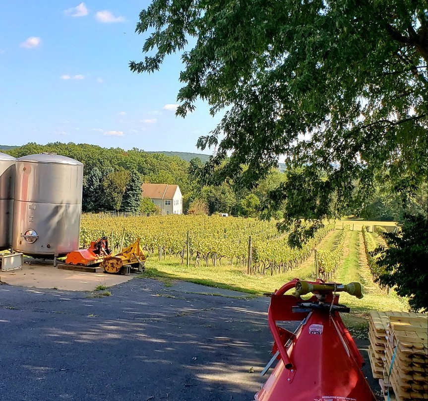 Fiore Winery-Pylesville必去景点