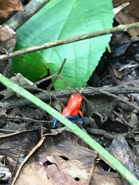 Blue Sky Private Tours-利比里亚必去景点