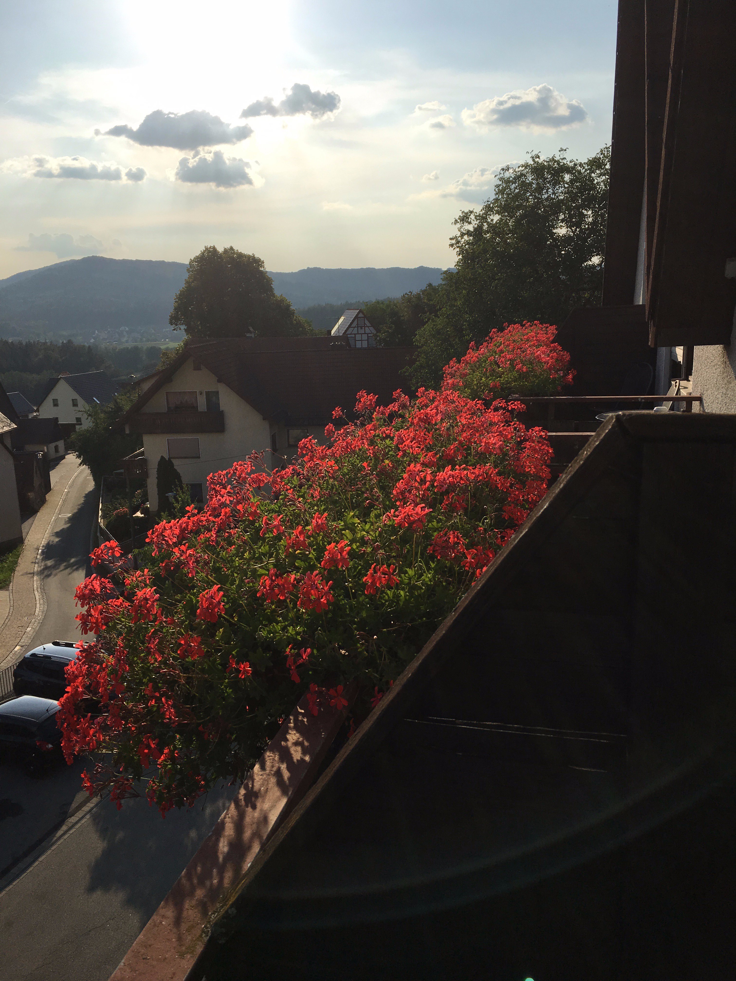 Landidyll Hotel Zum Alten Schloss-酒店景观