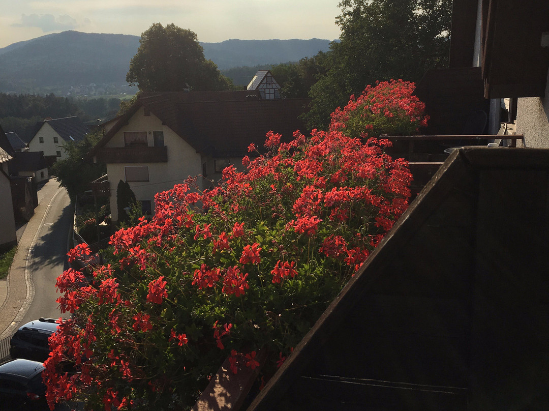 Landidyll Hotel Zum Alten Schloss主图