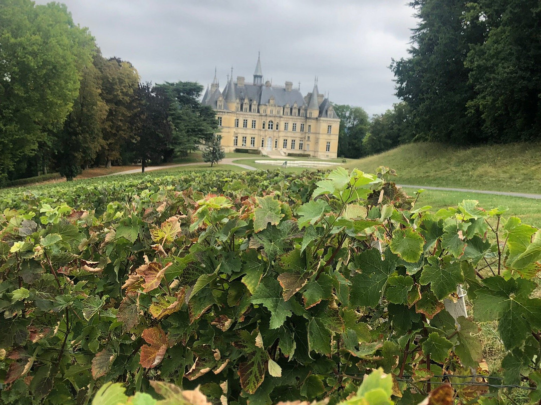 Champagne Chateau de Boursault景点图片