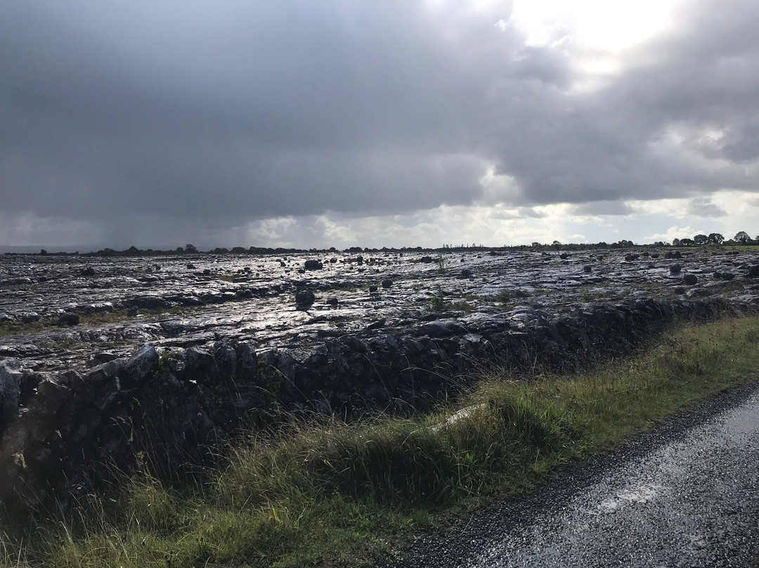 Burren Experience Guided Walks-Corofin必去景点