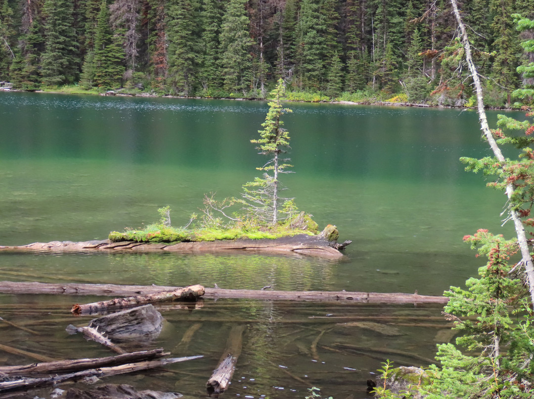 Rawson Lake Trail-卡那那斯基斯必去景点