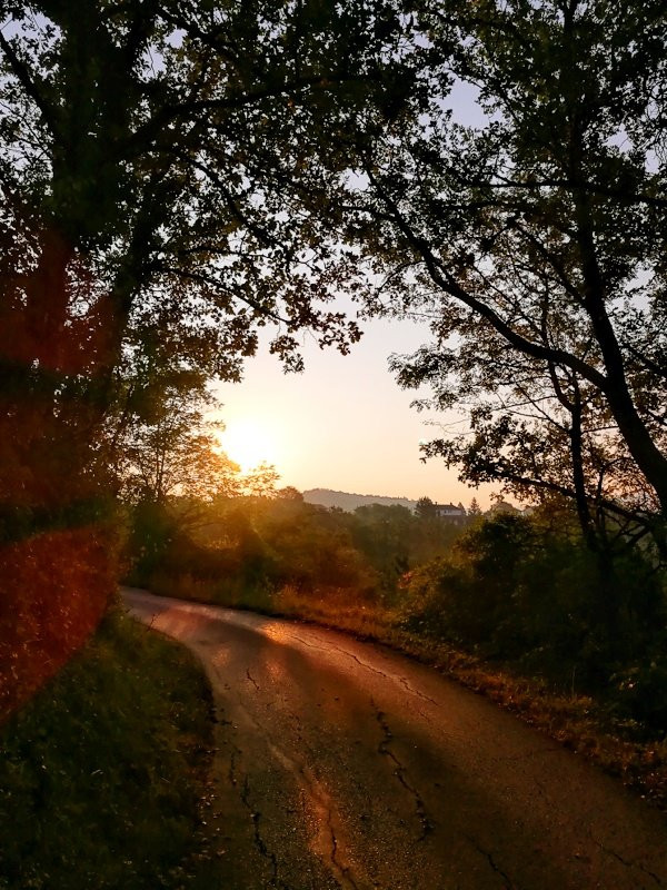 Potpican旅游攻略图片