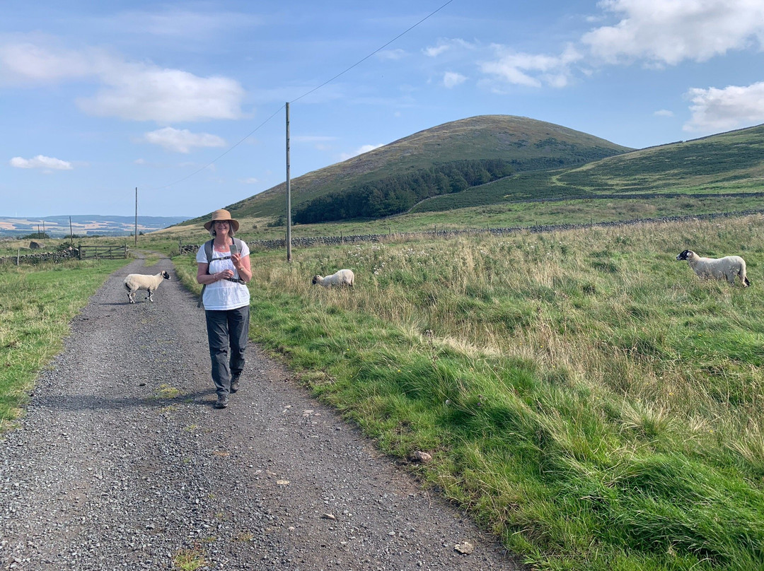 St. Cuthberts Way-Melrose必去景点