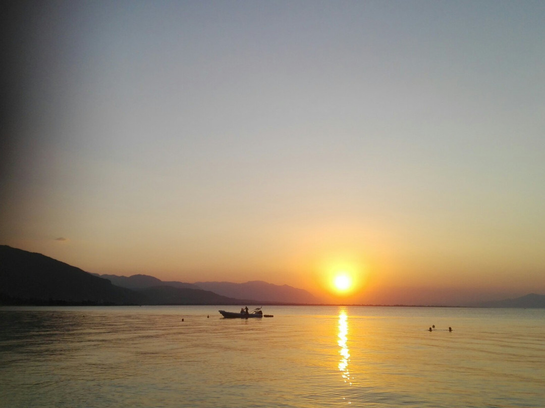 Hotel Violetta主图