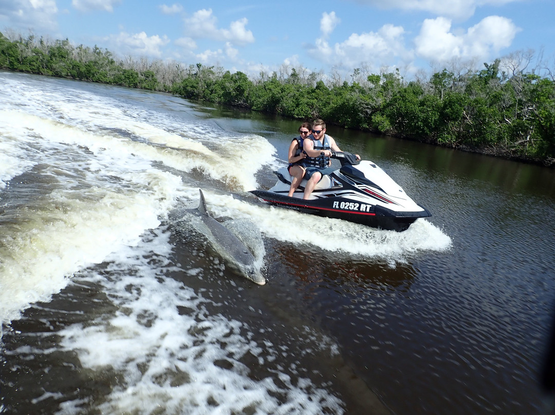 Capt. Ron's Awesome Everglades Adventures景点图片