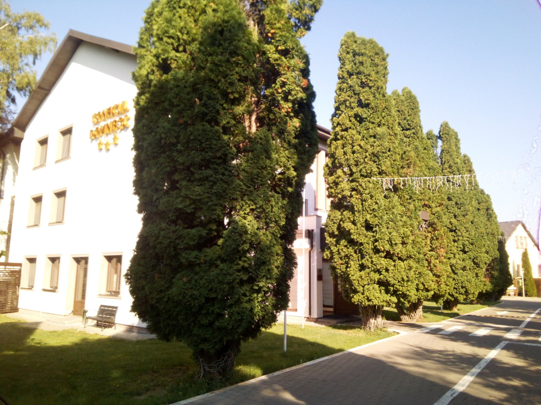 Suceava County酒店住宿-皇家庄园