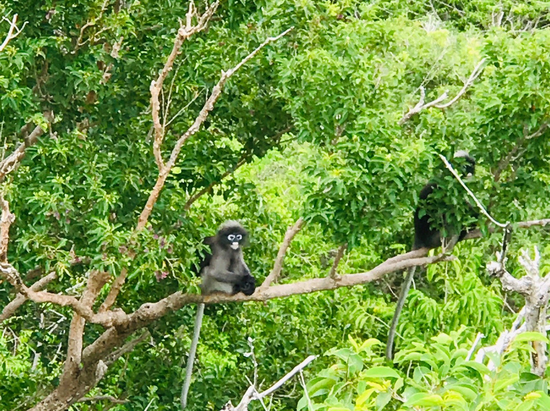 Khao Daeng View Point-桂武里必去景点