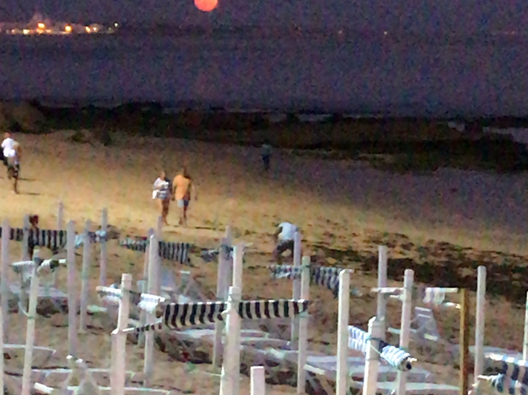 Aparthotel Oceanus主图