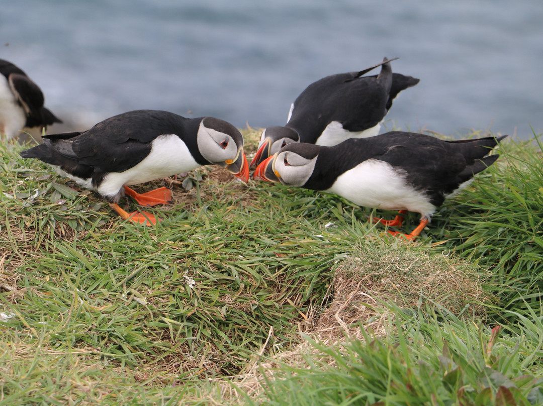 Isle of Lunga-The Hebrides必去景点