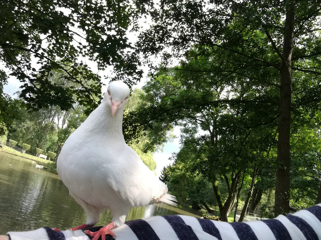 Prinknash Bird And Deer Park-Cranham必去景点