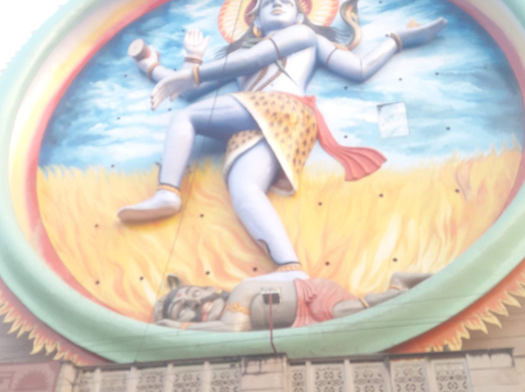 Bharat Mata Mandir景点图片