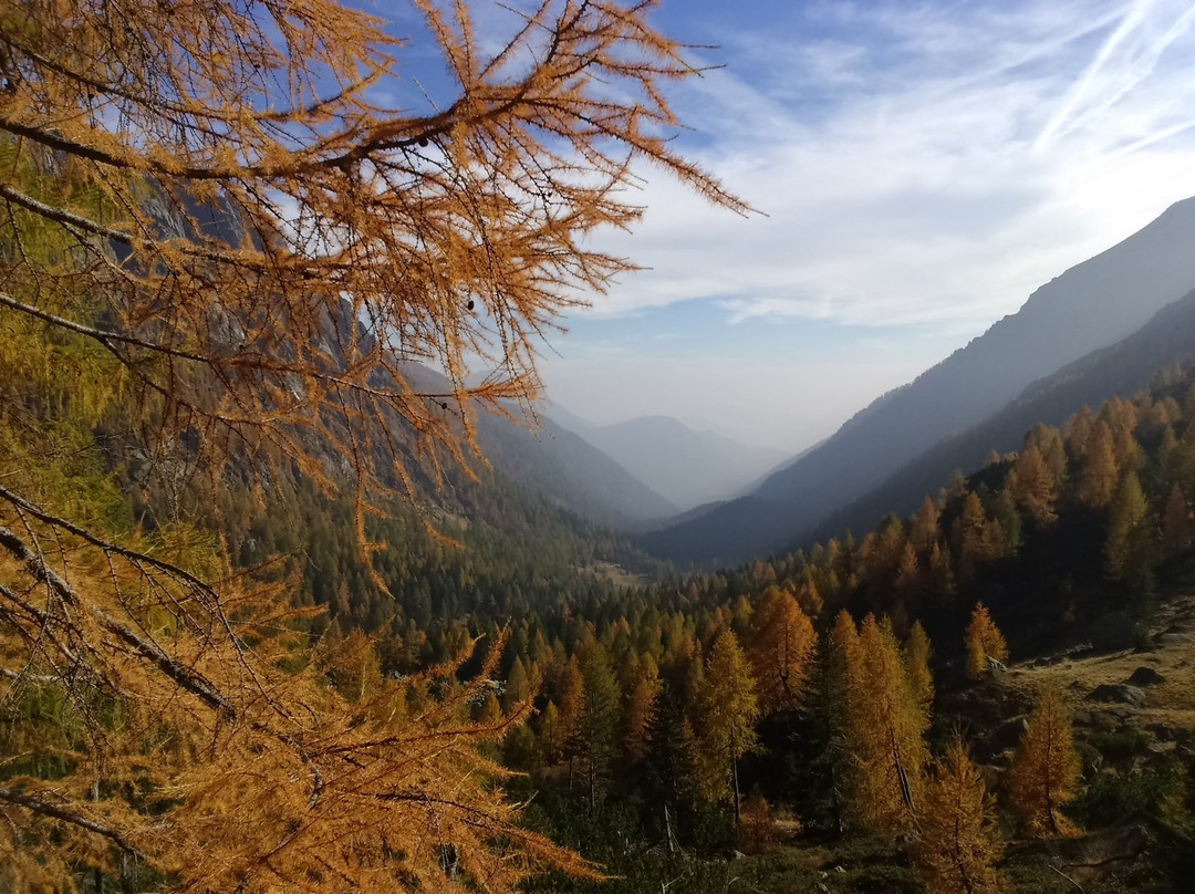 Grigno旅游攻略图片