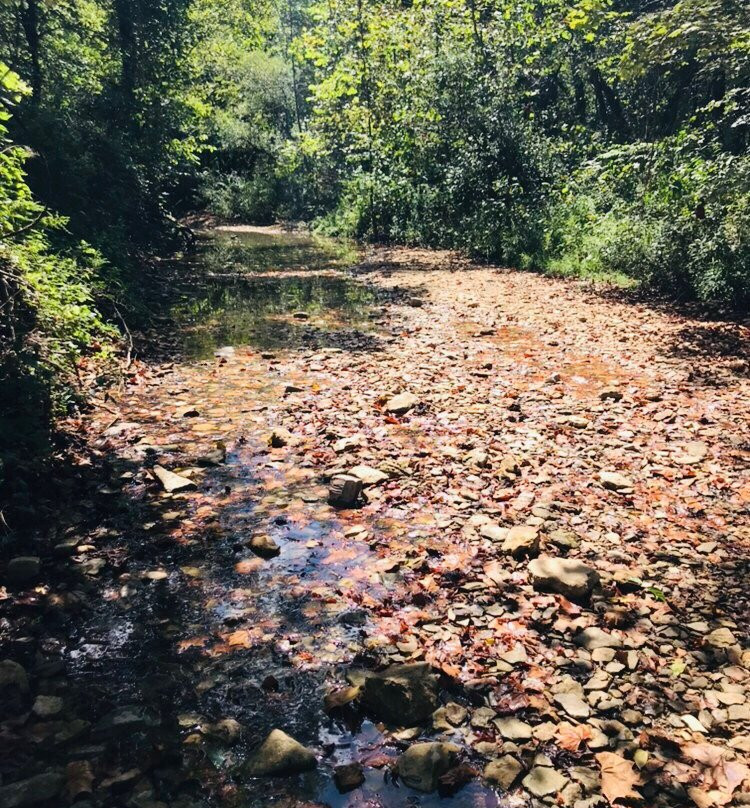Abraham Lincoln Boyhood Home at Knob Creek景点图片