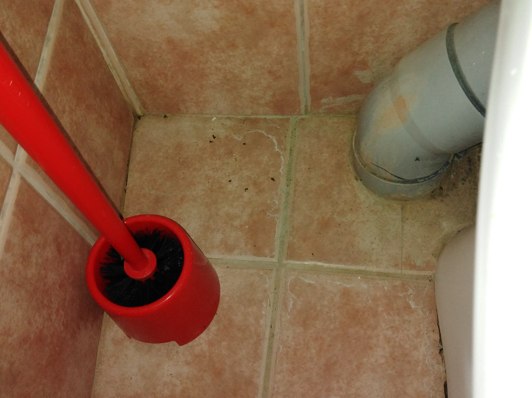 Joy Life Hotel主图