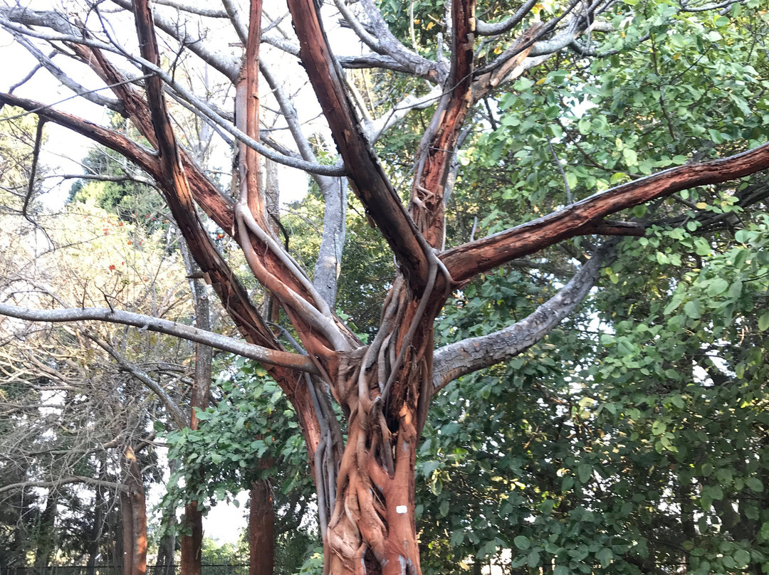 National Botanical Gardens景点图片