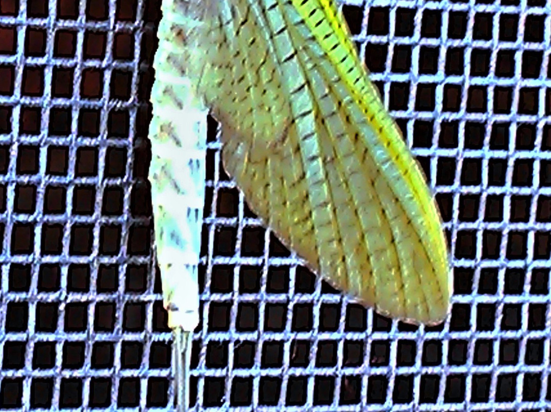 Cold Creek Inn主图