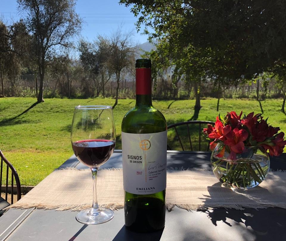 Central Valley Tours-圣地亚哥必去景点