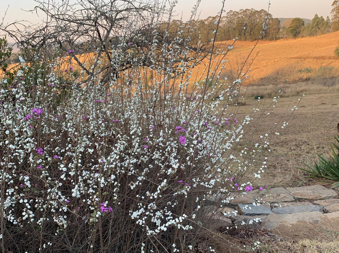 Lastingham Guest Lodge主图