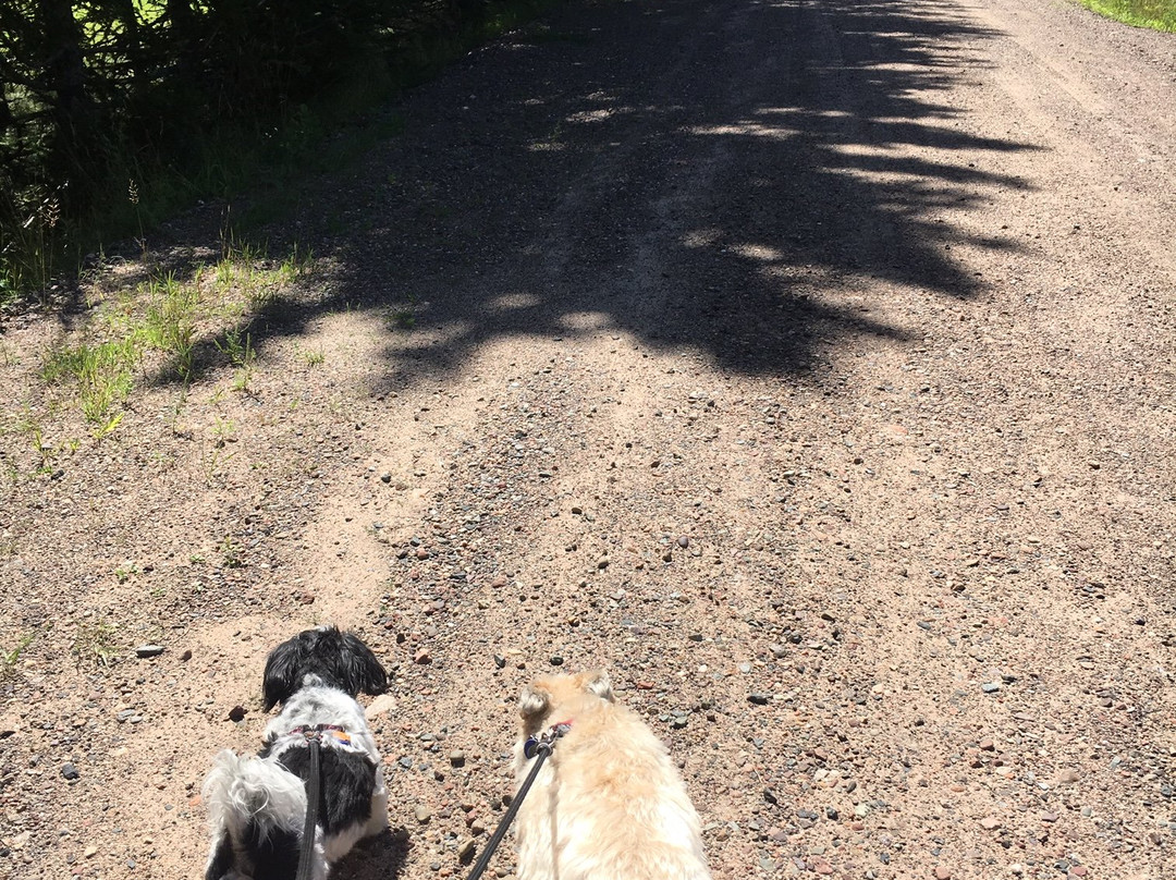 Clam Lake Junction主图