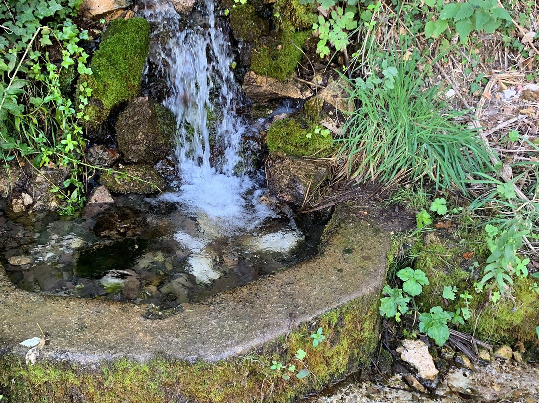 Riserva Naturale Regionale Monte Genzana e Alto Gizio-Pettorano sul Gizio必去景点