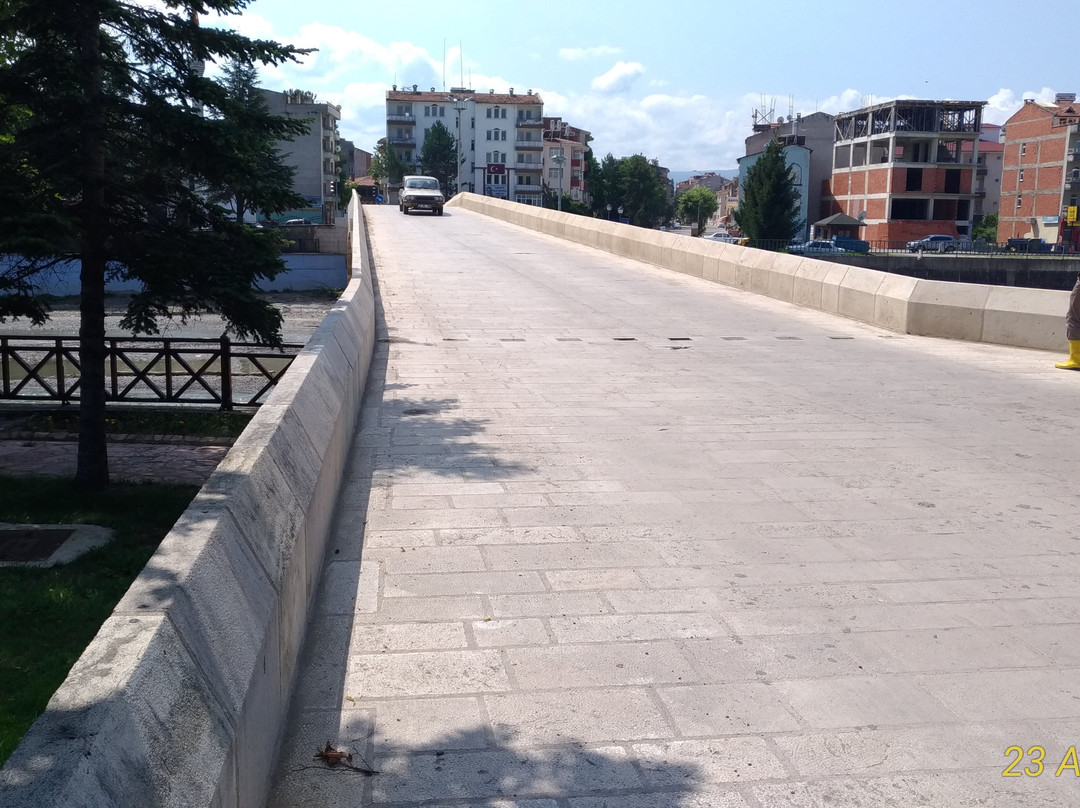 Taskopru (Stone Bridge)景点图片