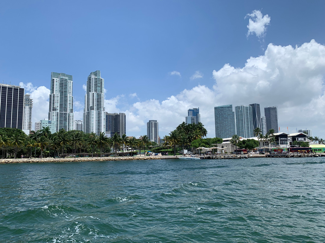 Water Taxi Miami景点图片