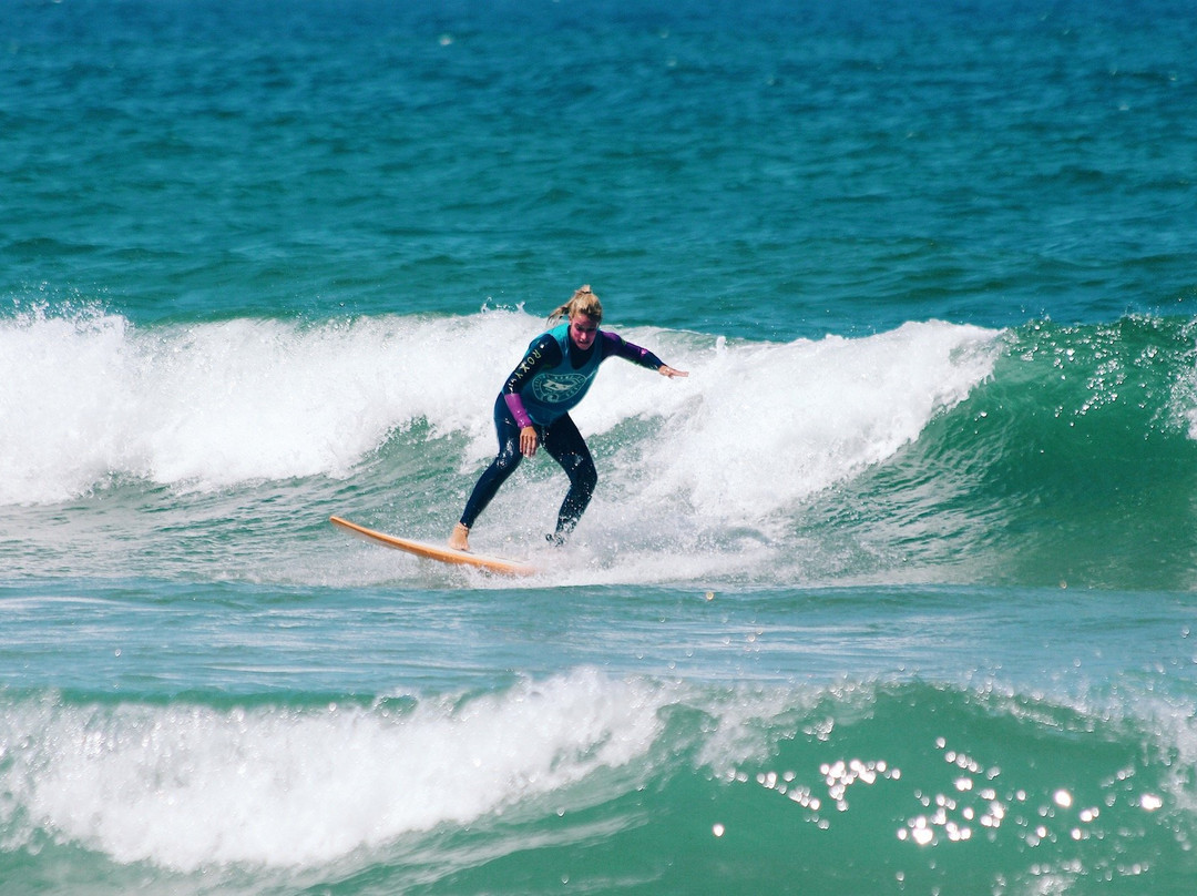 TSE The Surf Experience主图