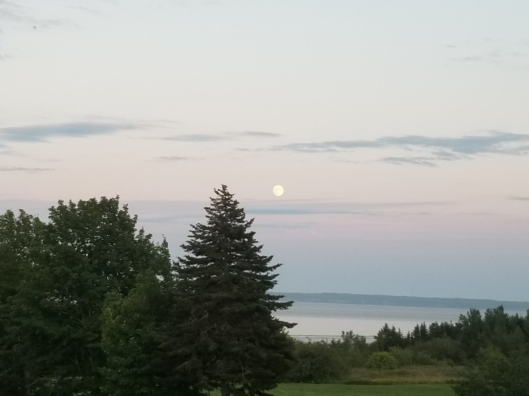 The Artisan Suites主图